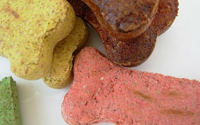 image for International Dog Biscuit Appreciation Day!